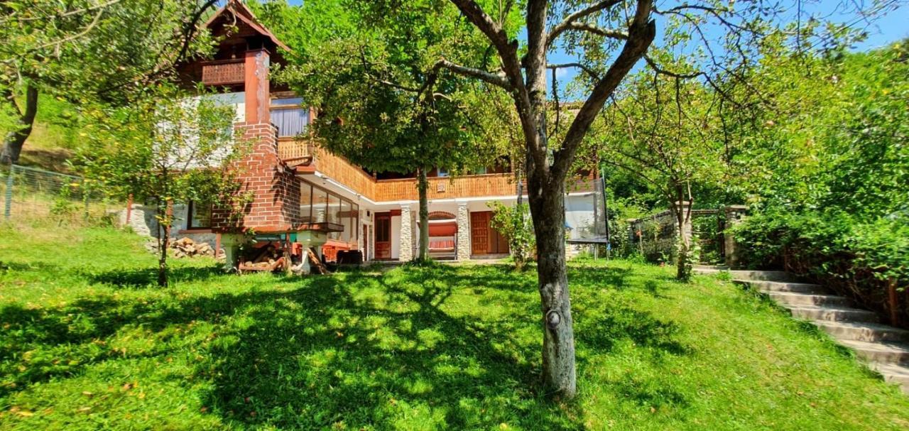 Villa Casa Colt De Rai Brezoi Exterior foto
