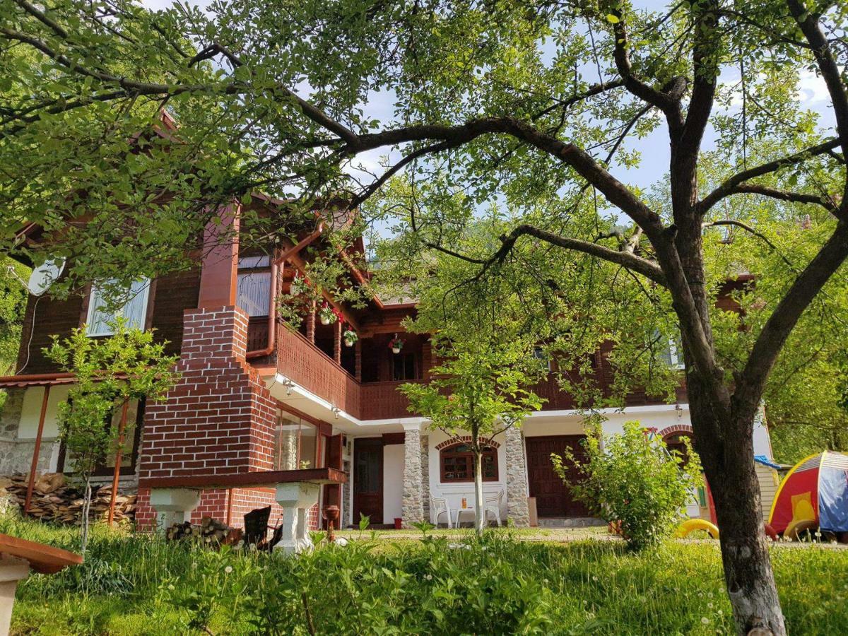 Villa Casa Colt De Rai Brezoi Exterior foto