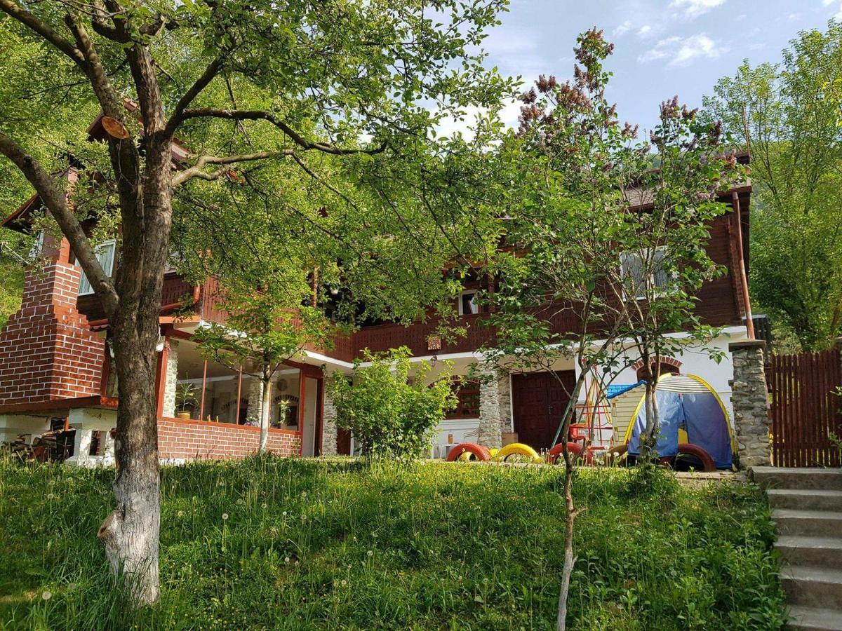 Villa Casa Colt De Rai Brezoi Exterior foto