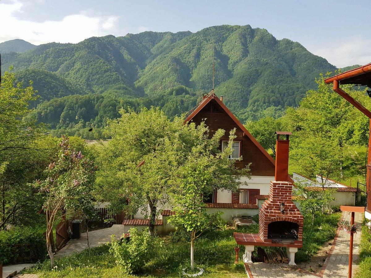 Villa Casa Colt De Rai Brezoi Exterior foto